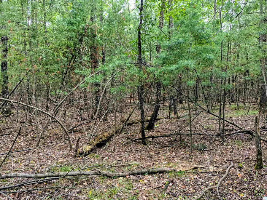 Buffalo, Alger, MI 48610 - #2