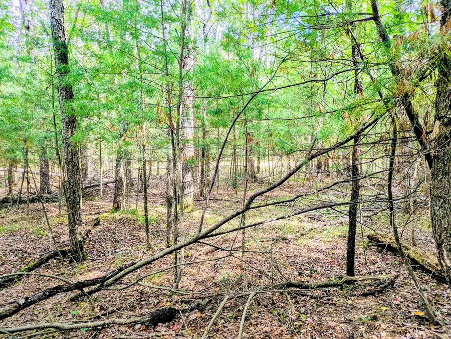 Buffalo, Alger, MI 48610 - #3