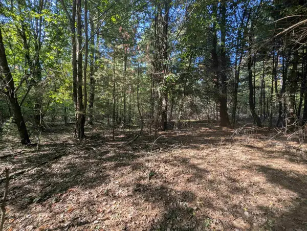 N/A N Forest Lake, Alger, MI 48610