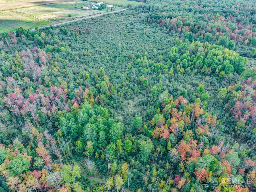 V/L S M-33, Alger, MI 48610 - Image #3