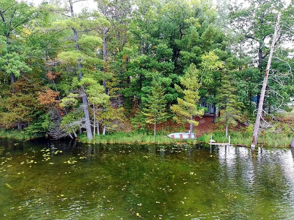 V/L Doll, Lupton, MI 48635 - Image #1