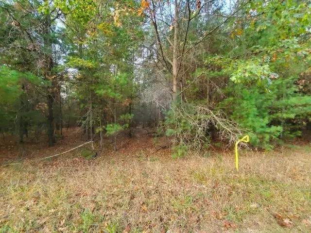 0 Buffalo, Alger, MI 48610 - Image #1