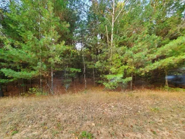 0 Buffalo, Alger, MI 48610 - Image #3