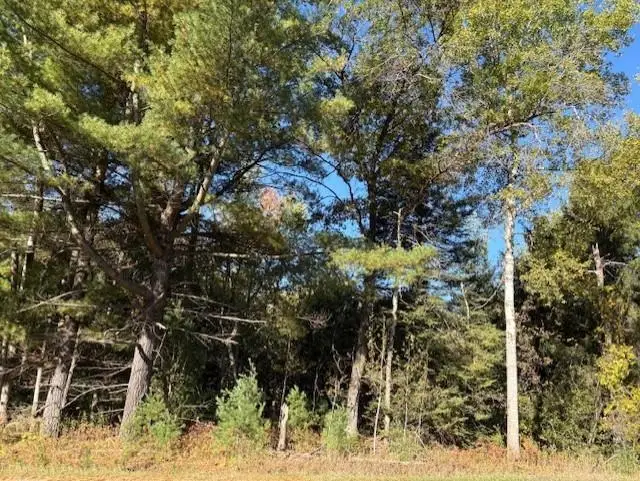 0 Fairview, Klacking, MI 48661 - Image #1