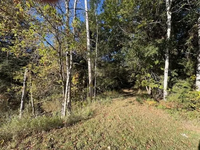 0 Fairview, Klacking, MI 48661 - Image #2