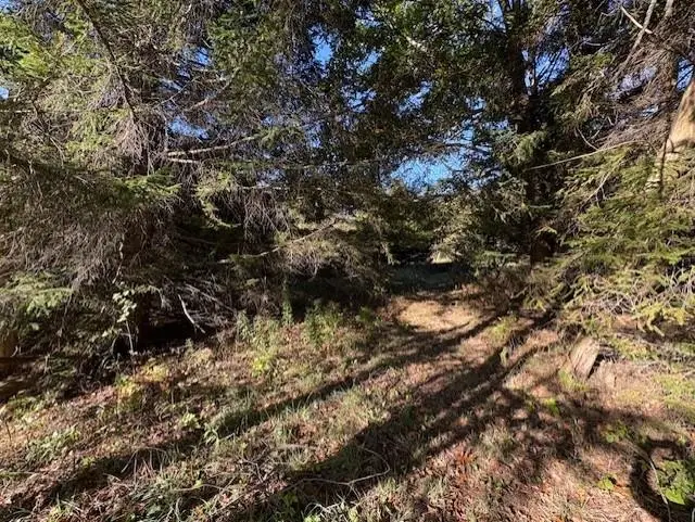 0 Fairview, Klacking, MI 48661 - Image #3