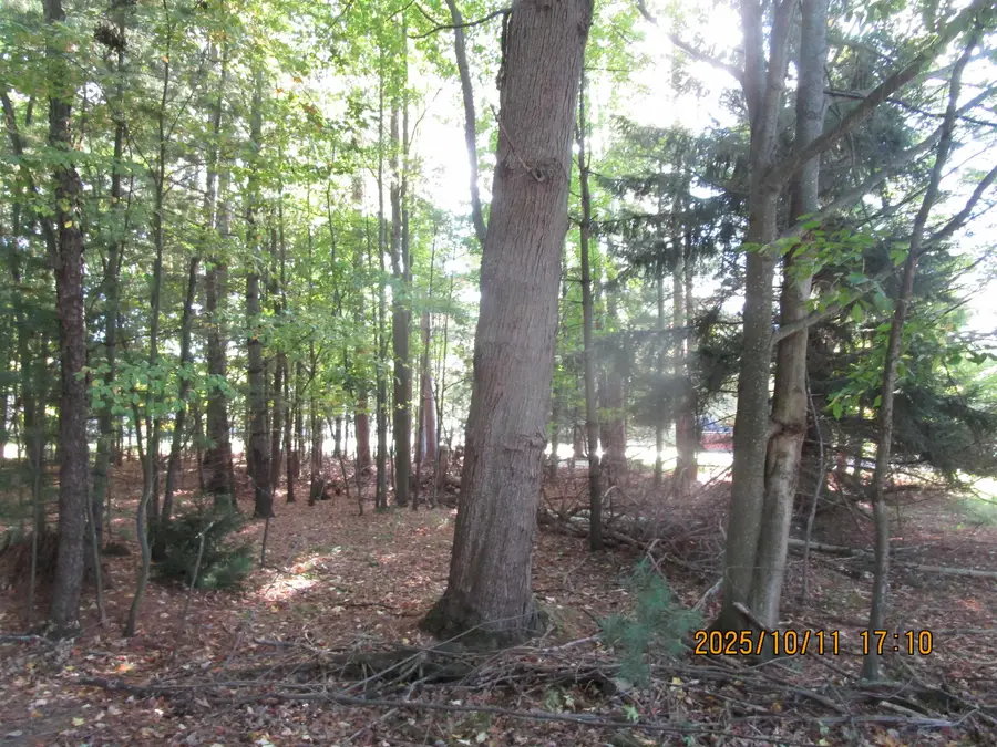 00 E Franklin, East Tawas, MI 48730 - Image #3