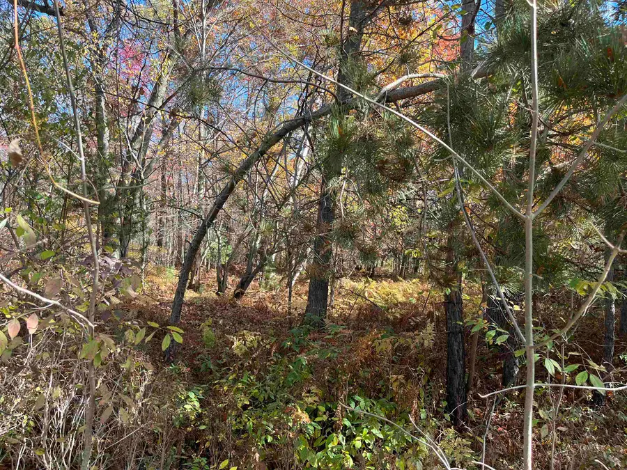 NKA Husak RD, Omer, MI 48749 - Image #2