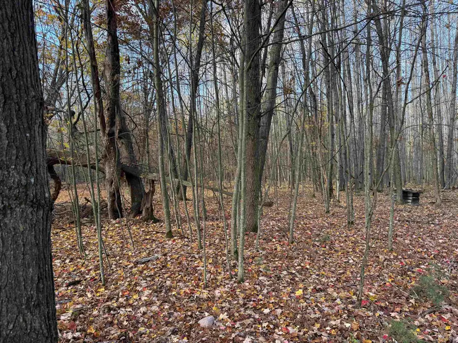 VL S Eddy Creek, Ogemaw, MI 48661 - Image #2