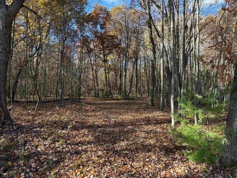 VL S Eddy Creek, Ogemaw, MI 48661 - Image #3