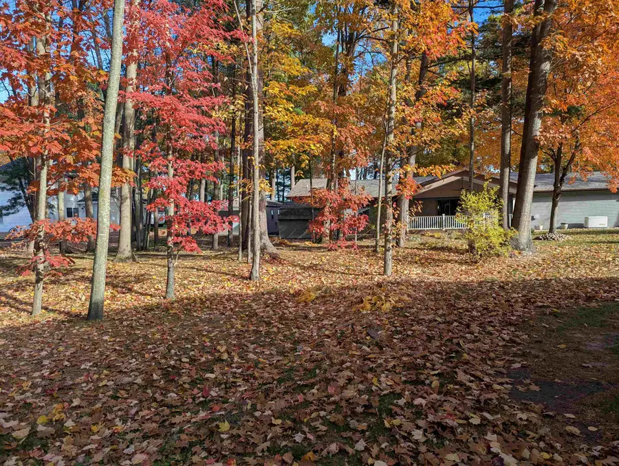 2540 West DR, Whitney, MI 48763 - Image #3