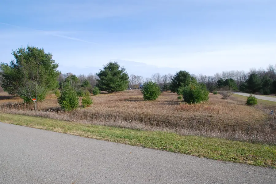 Lot 35-36 Highland DR, Alger, MI 48610 - Image #3