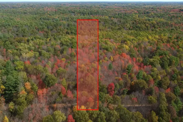 4594 Timber Lane RD, Prescott, MI 48756