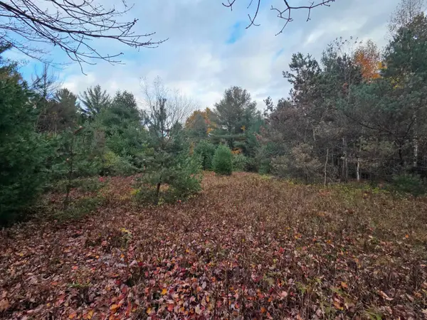 00 Monument, TawasCity, MI 48763