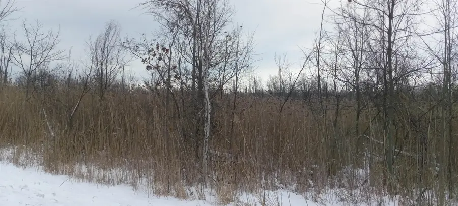 NA E Huron, Sims, MI 48703 - Image #3