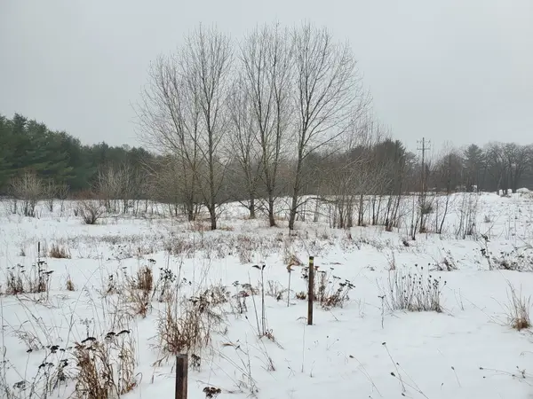 2788 Greenwood RD, Prescott, MI 48756