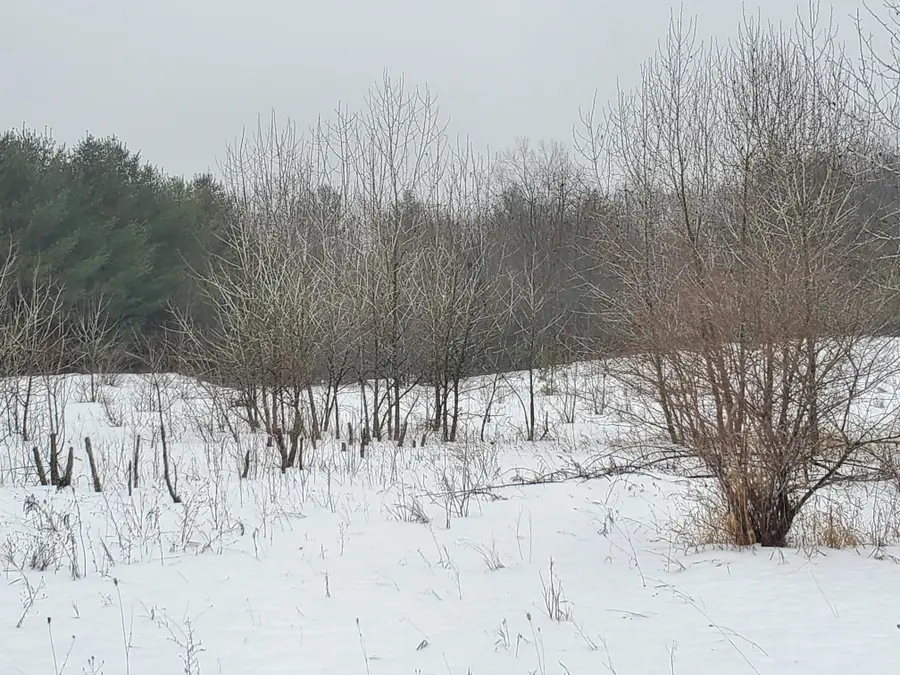 2788 Greenwood RD, Prescott, MI 48756 - Image #3