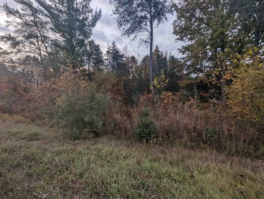 N/A E Huron, Omer, MI 48749 - Image #2