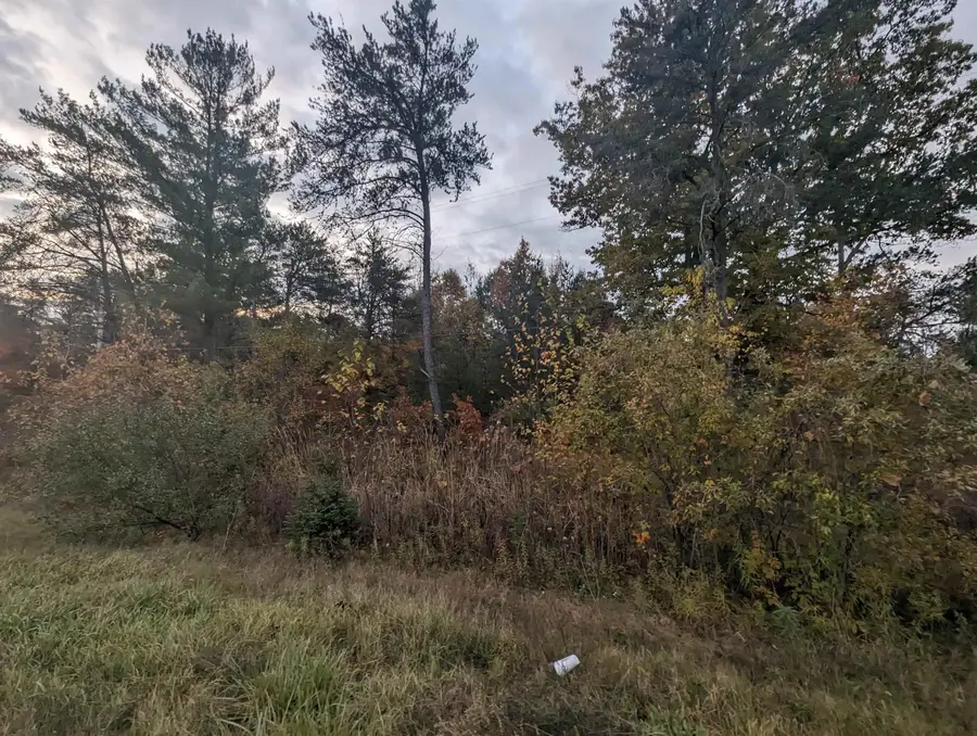 N/A E Huron, Omer, MI 48749 - Image #3