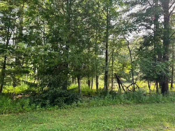 00 Ninth, TawasCity, MI 48763