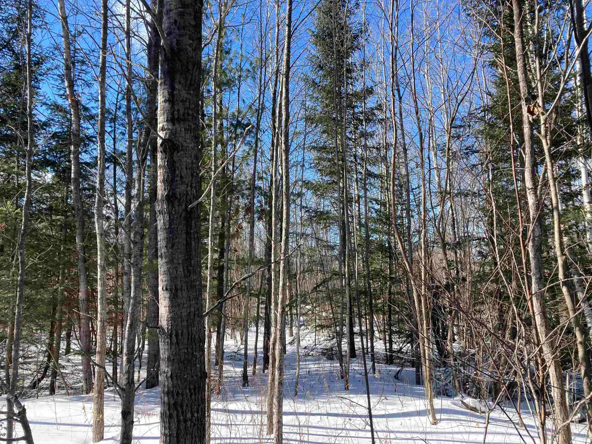 00 W Miller RD, Mio, MI 49647 - #1