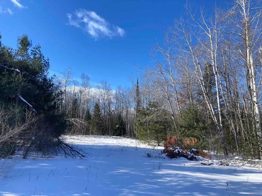 00 W Miller RD, Mio, MI 49647 - #2