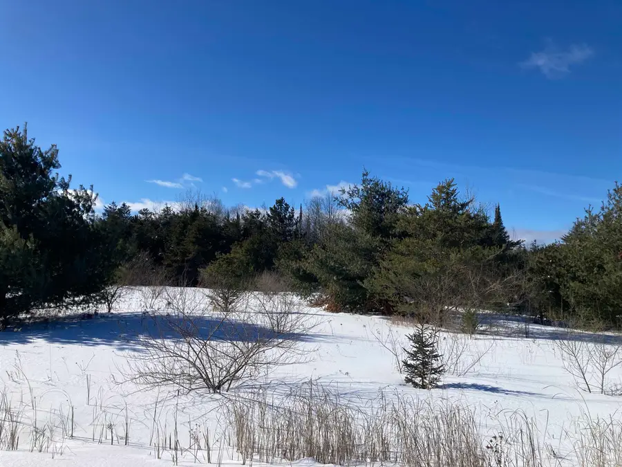 00 W Miller RD, Mio, MI 49647 - #3