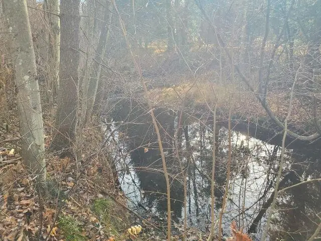 2030 George ST, Prescott, MI 48756 - #3