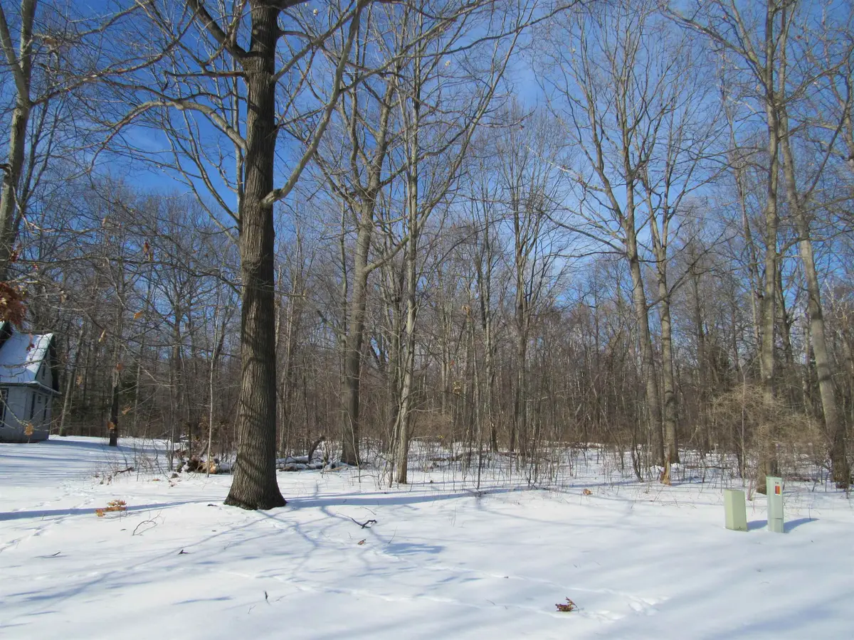 5877 Huron Woods DR, Whitney, MI 48763 - #1