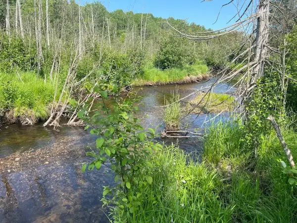 188 W Procunier, Mikado, MI 48745