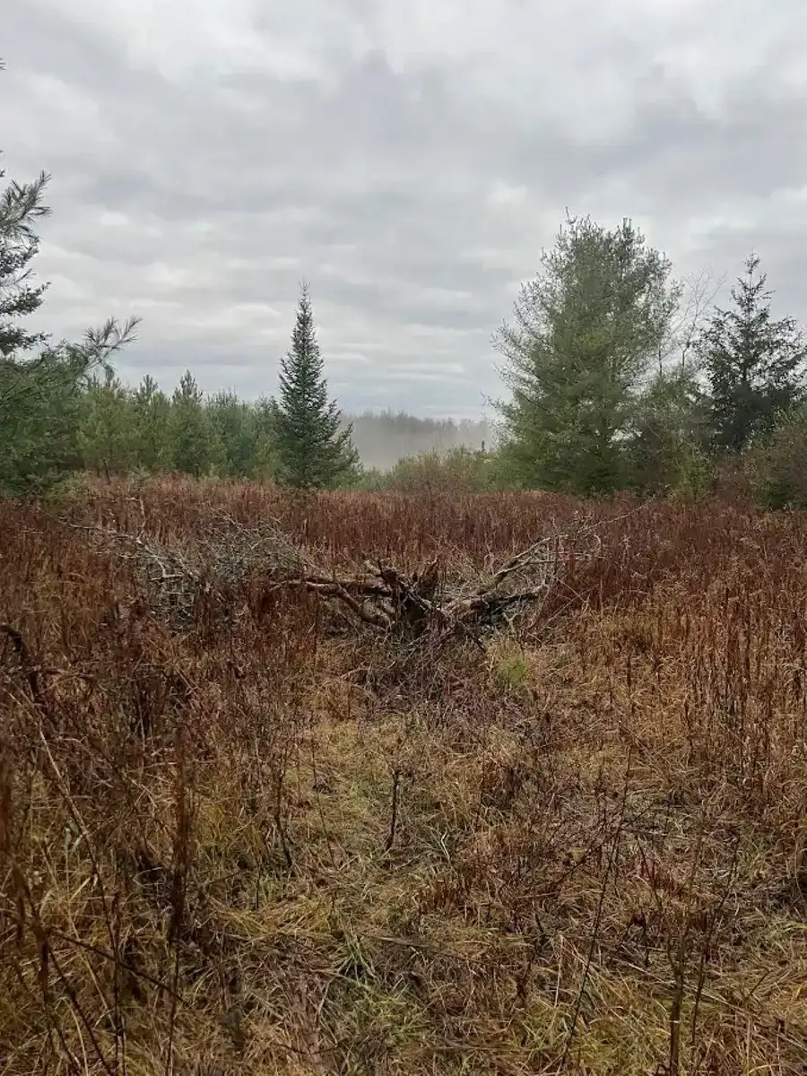 188 W Procunier, Mikado, MI 48745 - #2