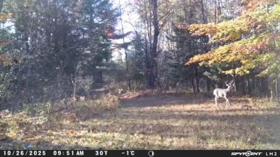 188 W Procunier, Mikado, MI 48745 - #3