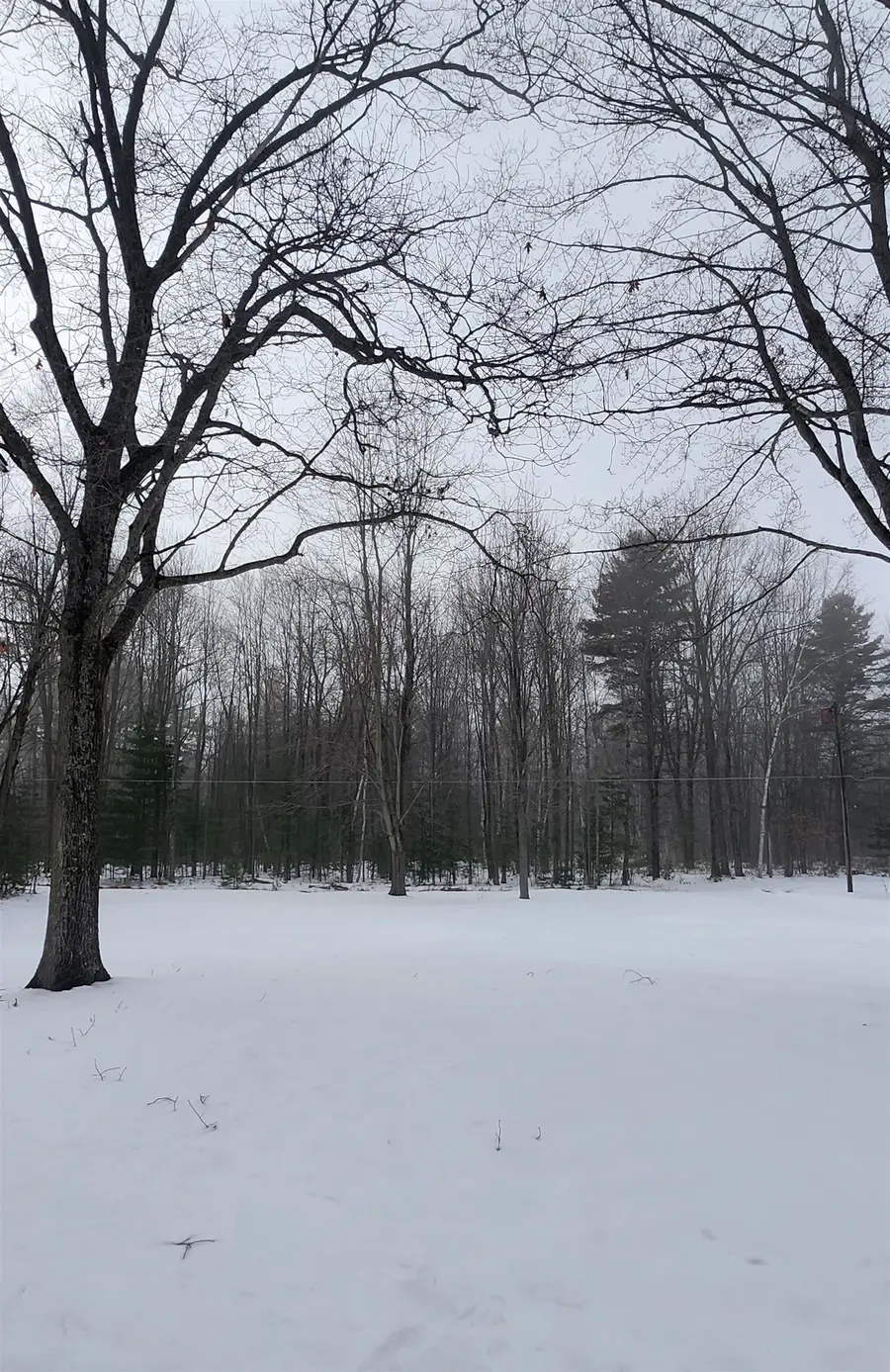 1760 S US-23, Tawas City, MI 48763 - #3