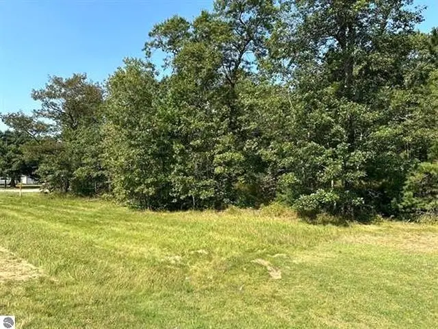 00 Wintergreen, Baldwin, MI 48730 - #2