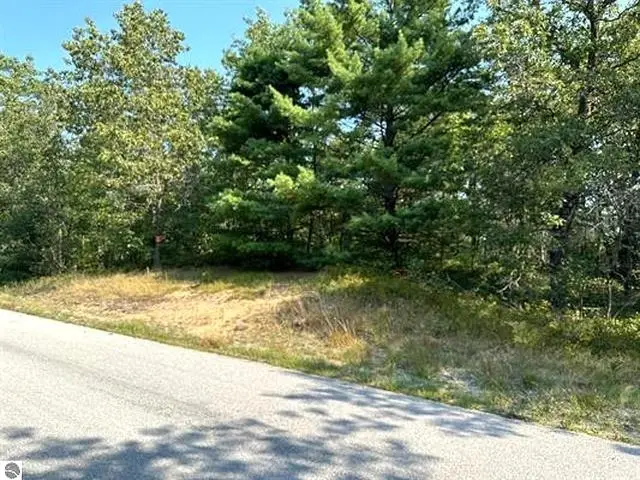 00 Wintergreen, Baldwin, MI 48730 - #3