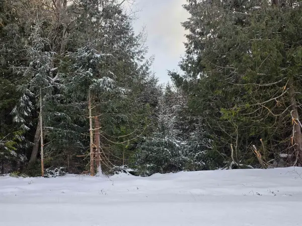 0 Arrowhead, Oscoda, MI 48750