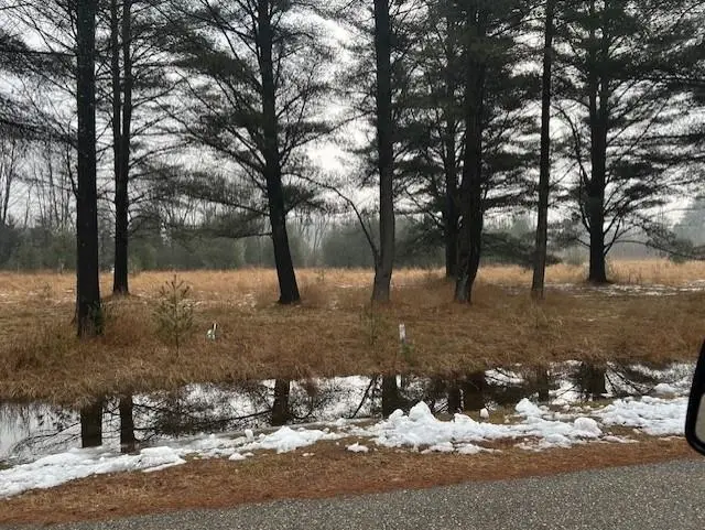 00 Manning LN, East Tawas, MI 48730 - #3