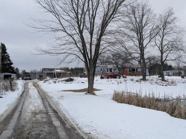 6283 Plant RD, Whittemore, MI 48770