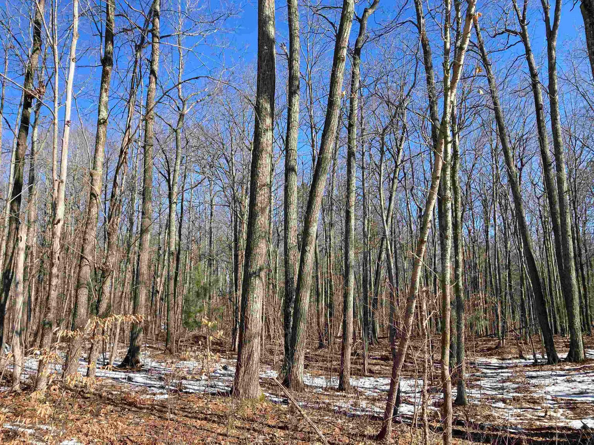 V/L Heath RD, Rose, MI 48654 - #1