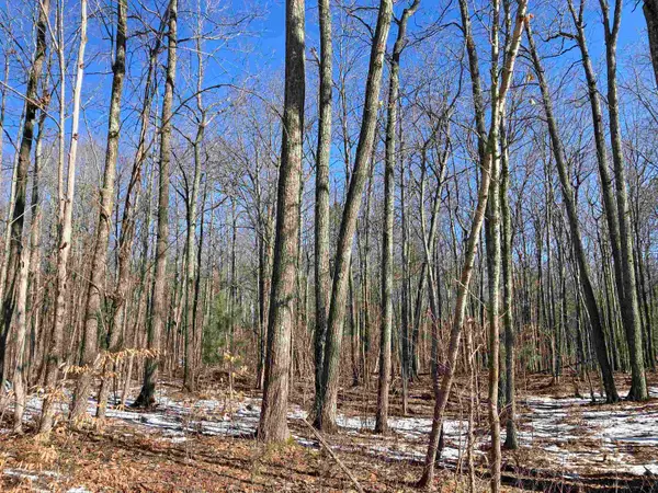 V/L Heath RD, RoseCity, MI 48654