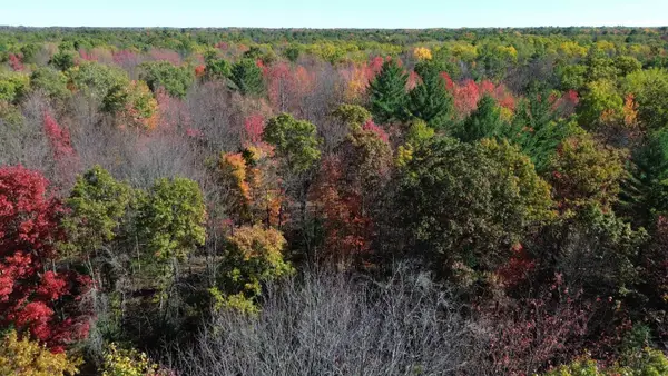 0 Timber, Prescott, MI 48756