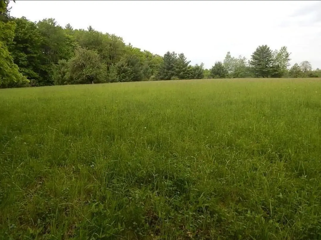 Kings Corner, Mikado, MI 48745 - #1