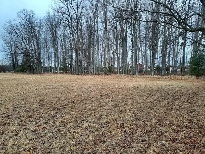 Kings Corner, Mikado, MI 48745 - #2