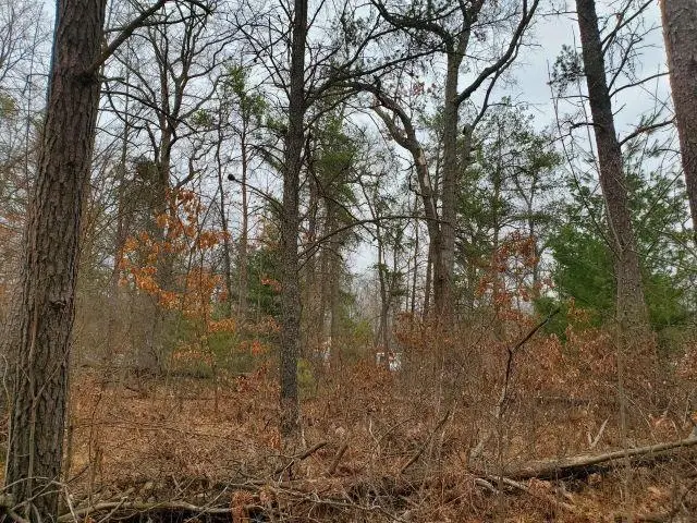 2306 Ronald, Prescott, MI 48756 - #3