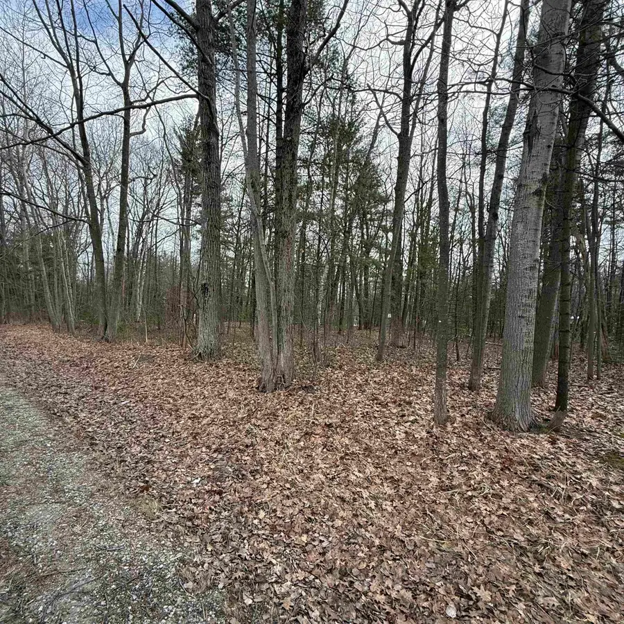 Gaston WAY, Oscoda, MI 48750 - #2