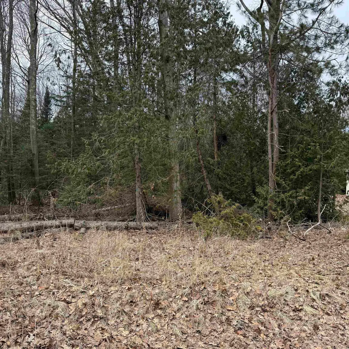 Woodlea RD, Oscoda, MI 48750 - #1