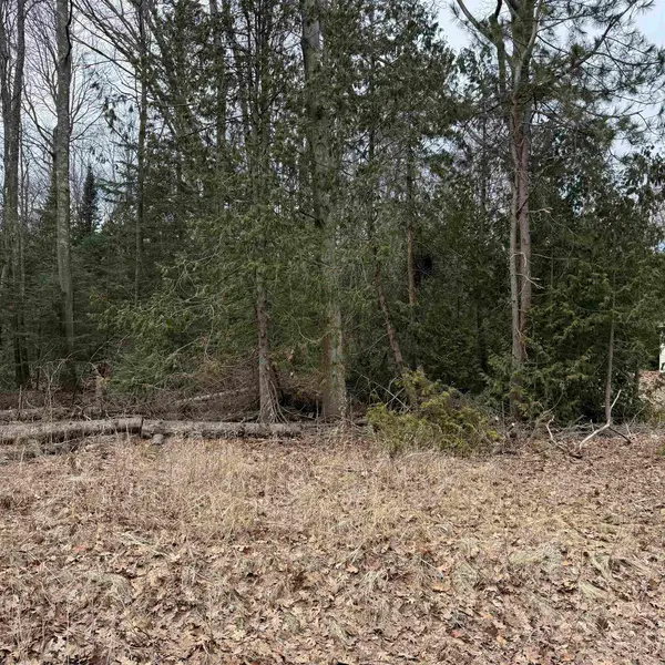 Woodlea, Oscoda, MI 48750