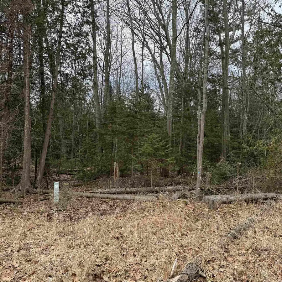 Woodlea RD, Oscoda, MI 48750 - #2