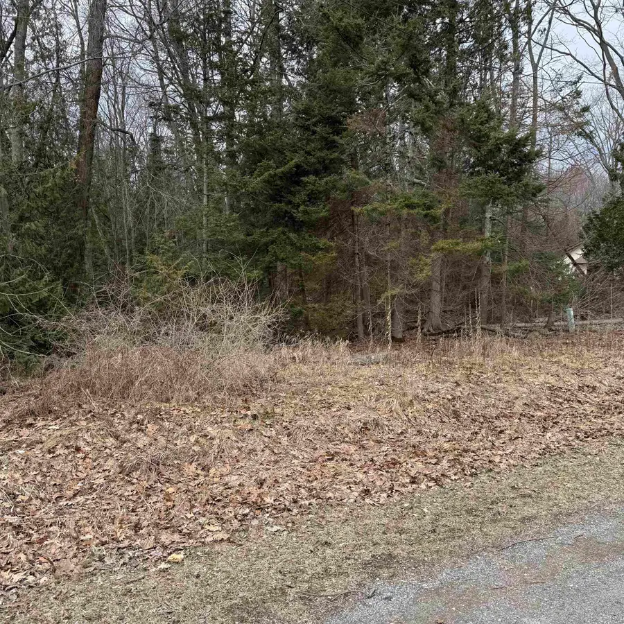 Woodlea RD, Oscoda, MI 48750 - #3