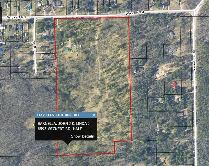 6595 Wickert, Hale, MI 48739 - #3